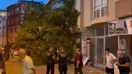 Balkonda kahve içen kadının üstüne ağaç düştü! - 3. Sayfa