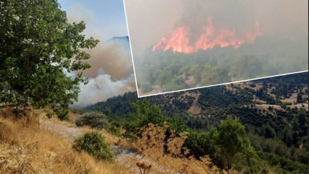 Bursa-Balıkesir sınırında neden yangın çıktı? Bir köy tahliye edildi - Haberler