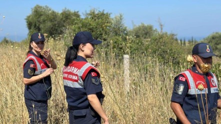Koruma altında: Koparmanın cezası 557 bin lira! - Yaşam