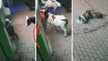 Yaşlı kadın evinin önünde kabusu yaşadı! Havaya fırlattı, üzerinden geçti: Dehşet anları kamerada - Dünya