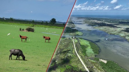 Gitmek için en doğru zaman! Dünyanın en güzel yerleri arasında...  Kuş Cenneti görenleri hayran bırakıyor - Yaşam