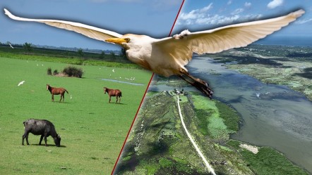 Gitmek için en doğru zaman! Dünyanın en güzel yerleri arasında...  Kuş Cenneti görenleri hayran bırakıyor - Yaşam
