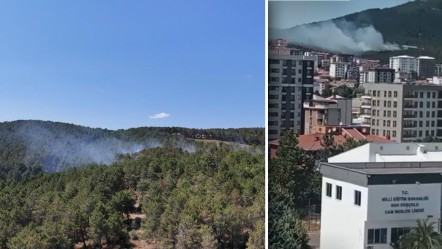 İstanbul'da yangın paniği! Çevre ilçelerden destek: Karadan ve havadan müdahale - Gündem
