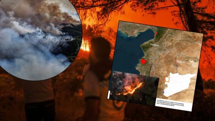 Suriye'nin ciğerleri 10 gündür yanıyor! 14 bin hektar küle döndü, mayınlar müdahaleyi engelliyor - Dünya