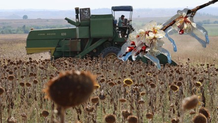 Çiftçiyi şimdi de kuraklık vurdu! Anadolu’da verim kaybı yüzde 85’lere ulaştı - Ekonomi