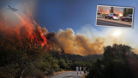 İzmir Aliağa ve Urla'da feci yangın! Alevler Çanakkale-İzmir yoluna ulaştı, sürücüler zor anlar yaşadı - 3. Sayfa