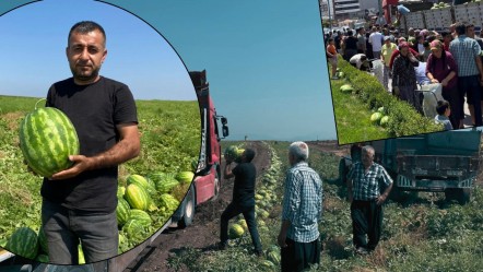 Kilosu 2 TL'ye düşünce üretici mağdur olmuştu! Başkan olaya el attı, 200 ton karpuz satın alındı - Ekonomi