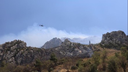 Vatandaşlar fark etti! Hatay'da orman yangınına ekiplerden jet müdahale - 3. Sayfa