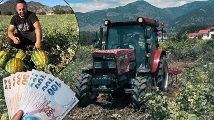 Bolluk arttı, pazar düştü! Dönüm fiyatı 10 bin TL'leri gördü... - Ekonomi