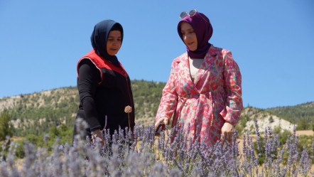 Emekli olup köyüne döndü, hayatı değişti! Yeni hedefi, verimi daha da artıracak - Yaşam
