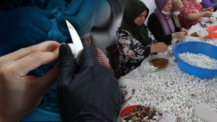 Tek tek ayıklanıyor, ücretsiz dağıtılılıyor! Bu tesis Türkiye'de tek, dünyada 5-6 tane var - Ekonomi