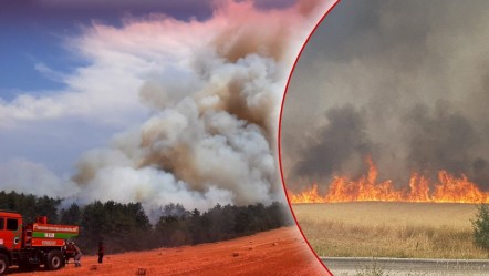 Bolu'da anız yangını ormana sıçradı! Çok sayıda ekip müdahale ediyor - Gündem