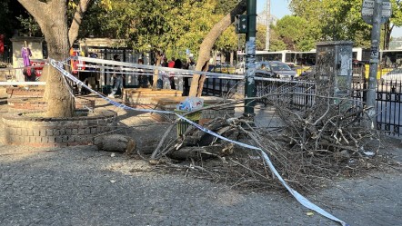 İstanbul'da feci olay: Üzerine ağaç dalı düşen 3 kişi hastanelik oldu - 3. Sayfa