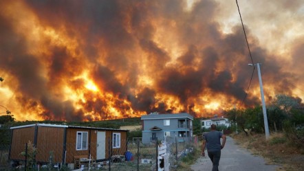 Tekirdağ'da anız yangını ormana da sıçradı! Söndürme çalışmaları sürüyor - Yaşam