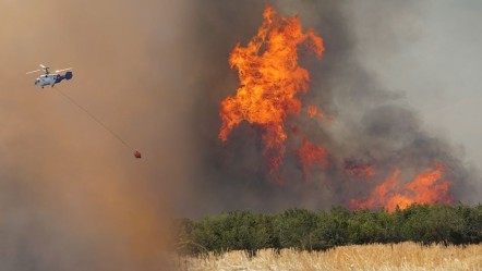 Tekirdağ'da yangın ormana sıçradı, helikopterler harekete geçti - Gündem
