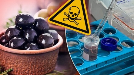 Zeytin değil zehir! Başka ürünler de tehlikede... Uzmanlar korkunç sonuçla karşılaştı, araştırma derinleştirilecek - Yaşam
