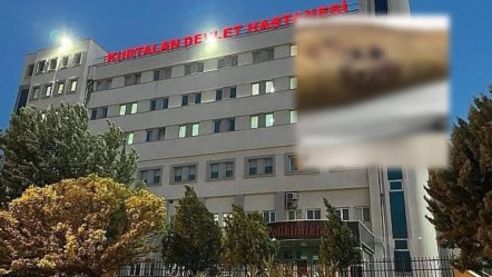 Ayağında aniden yanma hissetti! Kardeşi telefon ışığını tuttuğunda gördüklerine inanamadı - Gündem