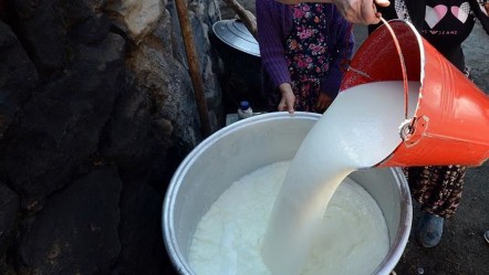 Çiğ inek sütü tavsiye satış fiyatı belli oldu - Ekonomi