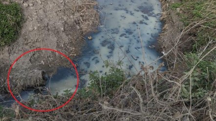 Mahalleli cam bile açamaz oldu! Nefes almak çok zor, sebebi ise... - Yaşam