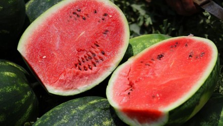 Sosyal medya günlerdir bunu tartışıyor: Türkiye'nin en iyi karpuzu nerede yetişir? Peş peşe açıklamalar - Ekonomi