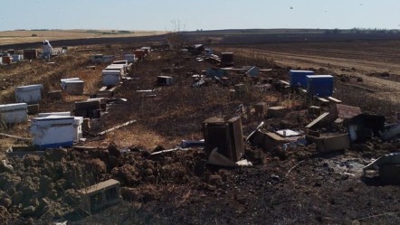 Tekirdağ'daki anız yangınında yüzlerce arı kovanı kül oldu - 3. Sayfa