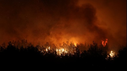 Yangınlar nerede çıktı, söndü mü? 16 Temmuz yangınlar son gelişmeler - Haberler