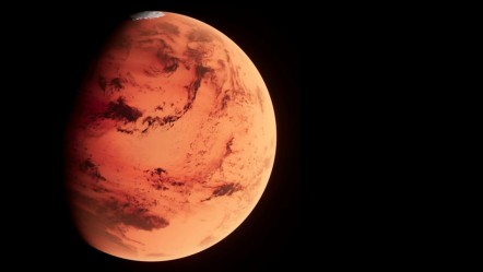Mars'tan düşen gök taşı rekor fiyata alıcı buldu - Dünya