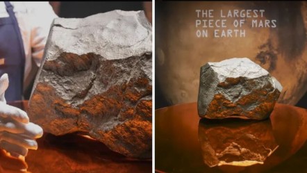 Mars'tan düşen gök taşı rekor fiyata alıcı buldu - Dünya
