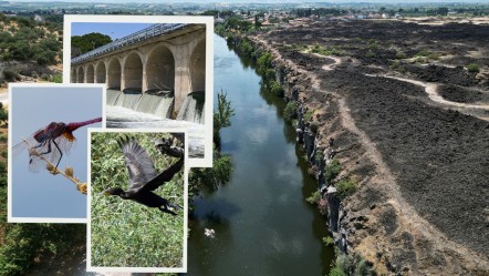 Ünlü kanyon eski güzel günlerini yaşıyor! Ziyaretler yeniden başladı - Yaşam