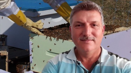 Arı saldırısı aileyi sarstı! 60 yaşındaki adam hayatını kaybetti, eşi hastanelik oldu - 3. Sayfa