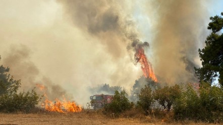 Çanakkale'de orman yangını! Alevler büyüyor, ekipler olay yerinde - Yaşam