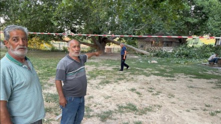 Çınar ağacının dalı piknik yapan ailenin üstüne düştü! Çok sayıda yaralı var - 3. Sayfa