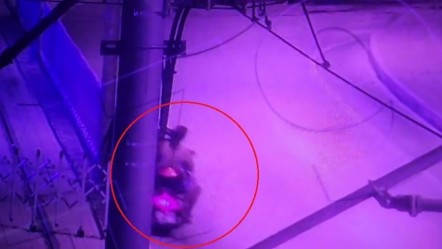 Ehliyetsiz motosikletli tramvay durağına girdi, arkadaşı yola savruldu - Gündem