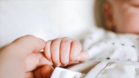 Endonezya'da bebek kaçakçılarına nokta operasyon! Anne karnındayken rezerve etmişler - Dünya