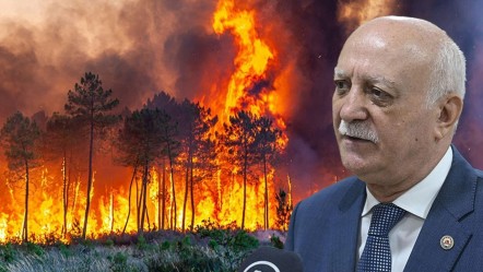 TZOB Başkanı Bayraktar'dan orman yangınlarıyla ilgili açıklama: Toplumsal bilinç şart - Gündem