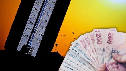 Yaz ayında ilgi arttı, satışlar patladı! Üretici bayram etti - Ekonomi