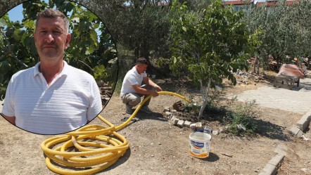 Boş alanları meyve bahçesine dönüştürdü! 4 yıllık emek hasadını büyütecek - Yaşam