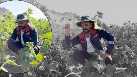 Erzincanlı çiftçilerden tarla müdafaası! Önce izleri fark ettiler, görünce inanamadılar - Yaşam