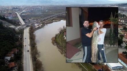 Sakarya Nehri'nde bir dev! Amatör balıkçılar yakaladı, neredeyse 2 metre - Yaşam