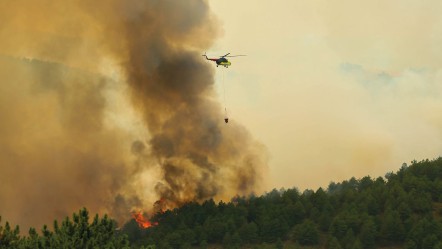 Uşak'ta orman yangını! Karadan ve havadan müdahale başladı - Gündem