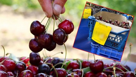 Bunu da gördük! Kirazın kilo fiyatı 1000 lirayı aştı - Ekonomi