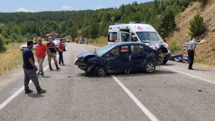 Gümüşhane'de, tepenin yamacına çarpan otomobilde can pazarı - 3. Sayfa