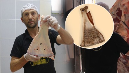 Selçuklu'dan kalma kasaplık geleneği: Kürek kemiklerini kırıp imha ediyorlar - Yaşam