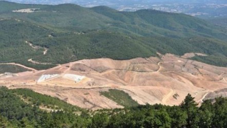 Ağaçlar madencilik için mi kesiliyor? Rakamlar muhalefeti yalanlıyor - Ekonomi