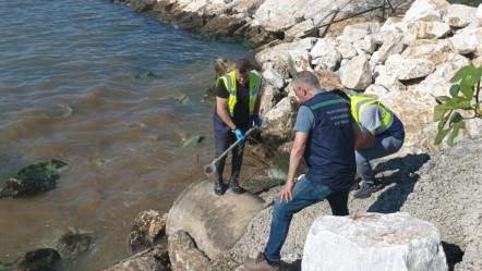 Denizi kirleten Yalova Belediyesi'ne 1 milyon 337 bin TL'lik ceza! - Gündem