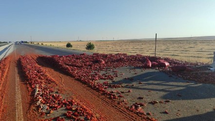 Kazadan çok biberler konuşuldu! 20 tonluk kayıp görenleri üzdü - Gündem