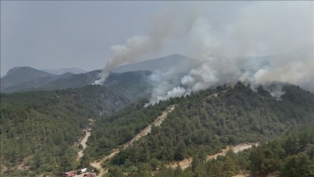 Sakarya-Bilecik-Eskişehir ve Antalya orman yangınlarında son durum - Haberler