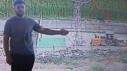 Sevkiyatta firar ettiler, bir aydır haber alınamıyor! "Aşırı hırçınlar, görenler hemen kaçsın" - Yaşam