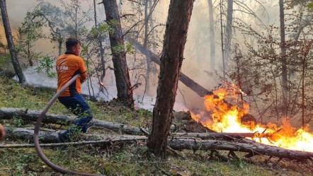 Sakarya, Bilecik, Eskişehir, Urla... Bakan Yumaklı yangınlardaki son durumu açıkladı - Gündem