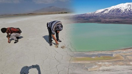 Kuş cenneti olarak biliniyor! Arin Gölü'nde kuraklık alarmı - Yaşam
